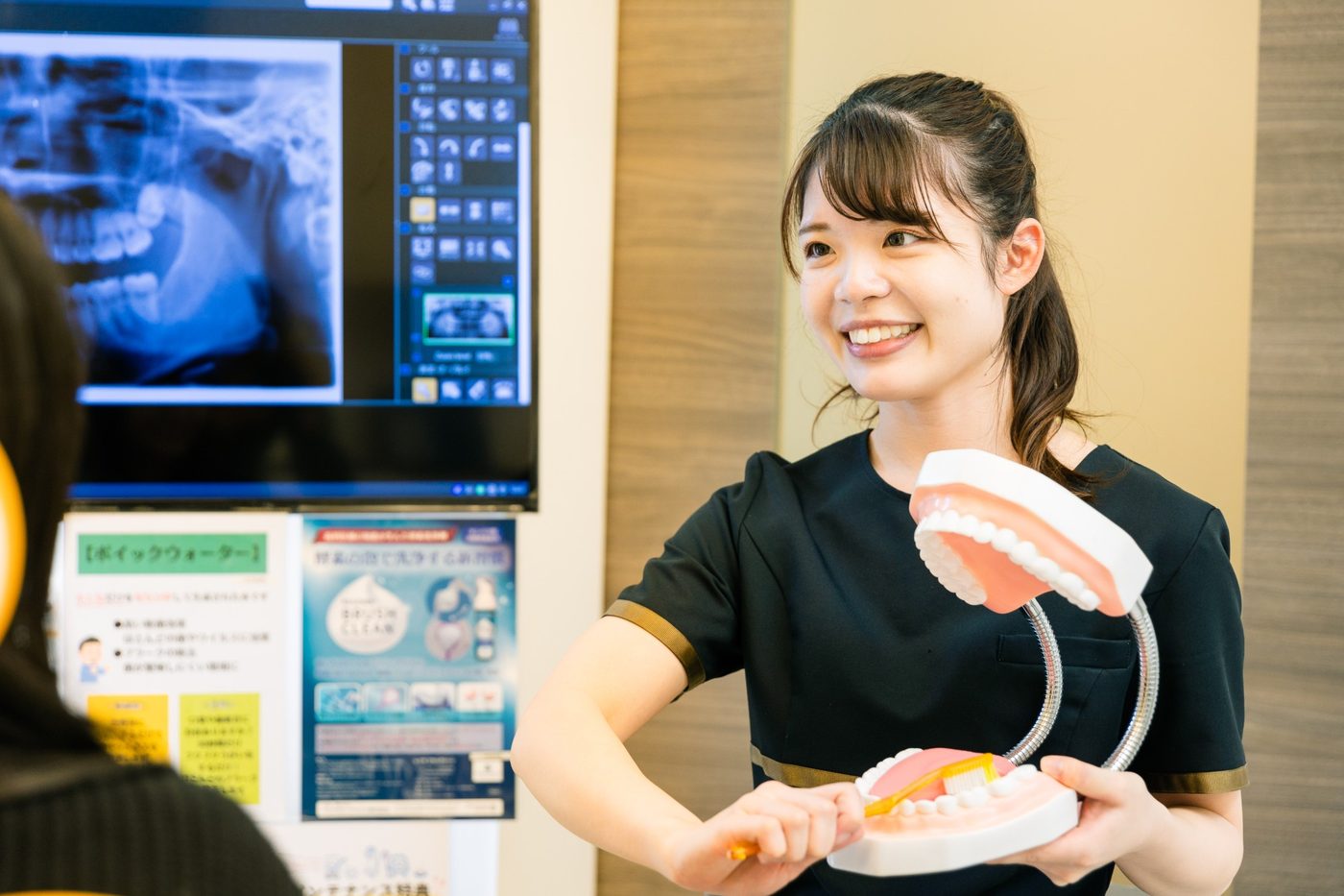 模型と歯ブラシを使ってブラッシングを指導する歯科衛生士